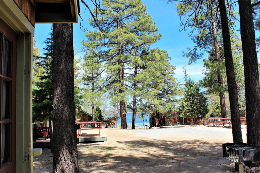 Little Pines-102 by Big Bear Vacations - image 5